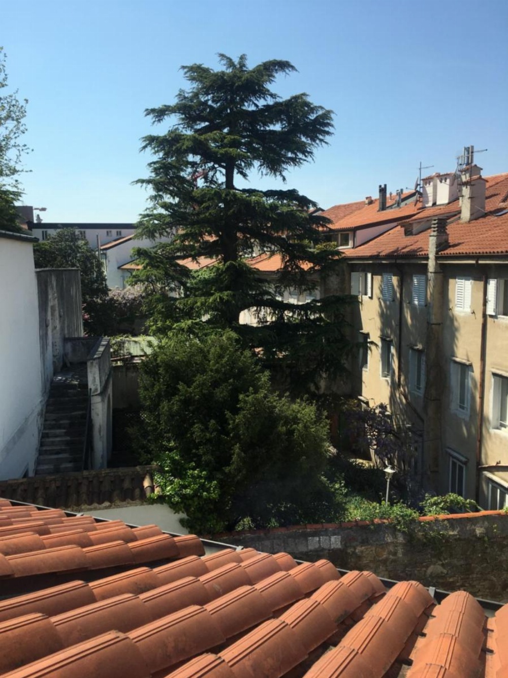 Mansarde Rive Image 33